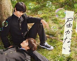 由国产成人精品免费视频下载最新发布版本